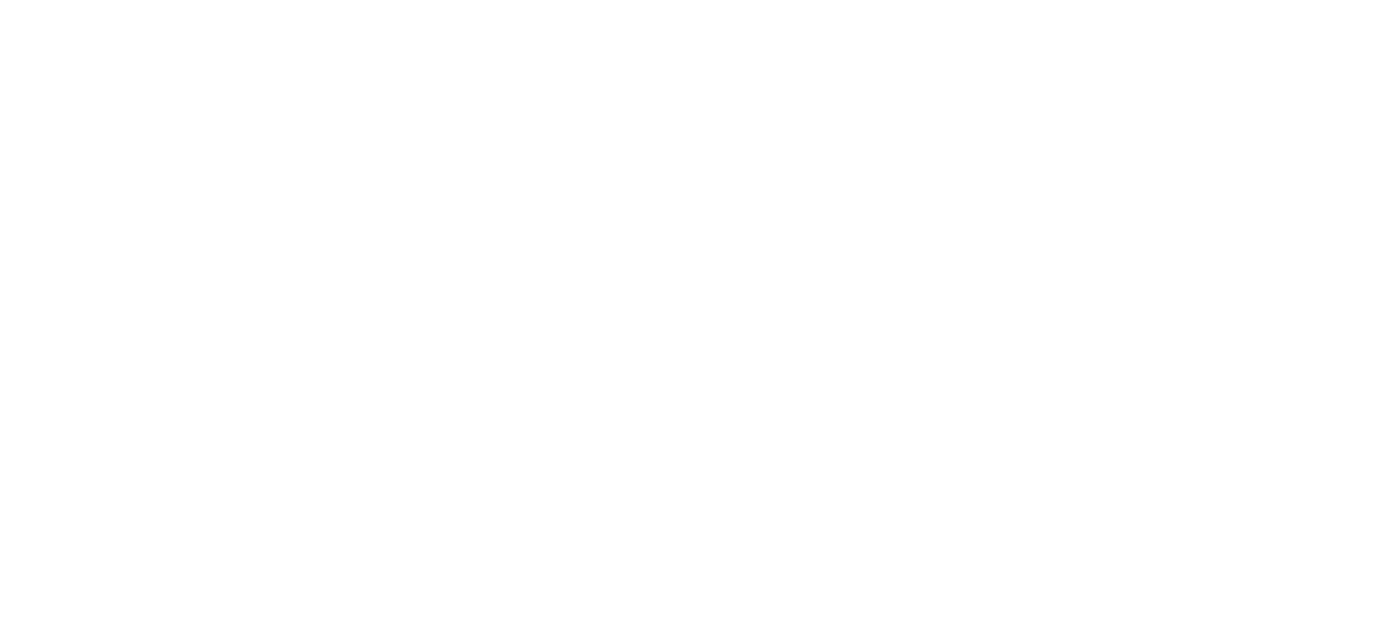 Department of Children and Youth Affairs